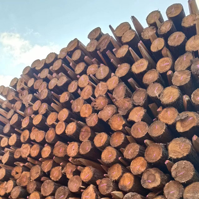 杉木樁的特點(diǎn)有哪些?